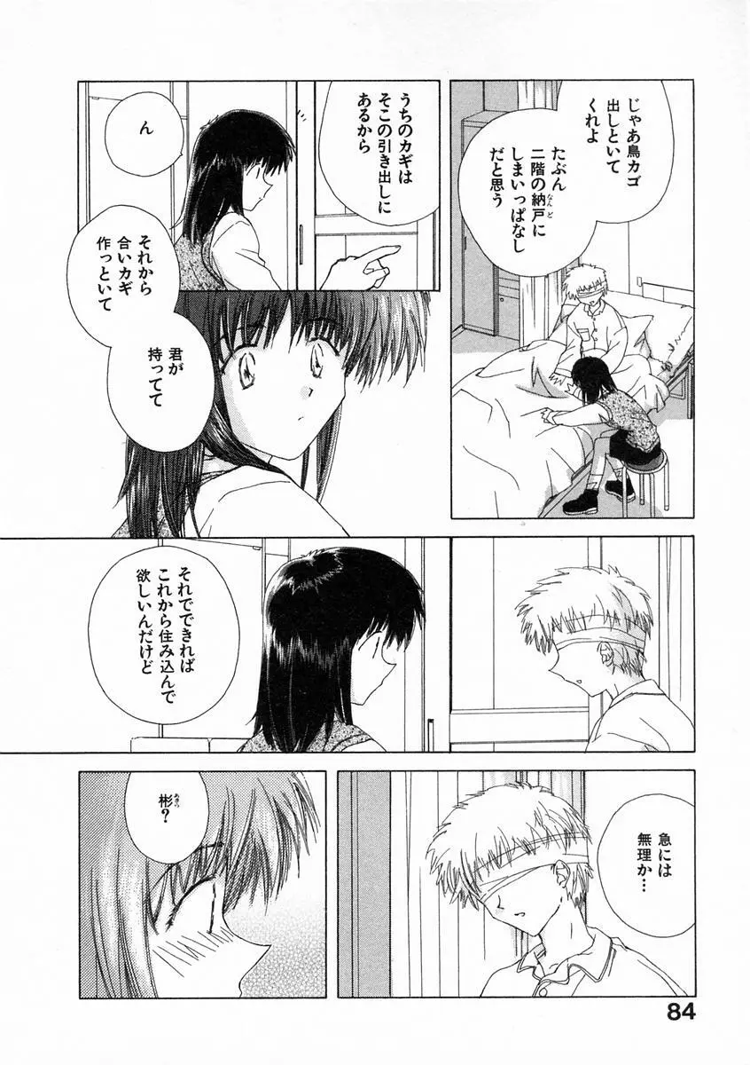 透明な鳥 Page.89