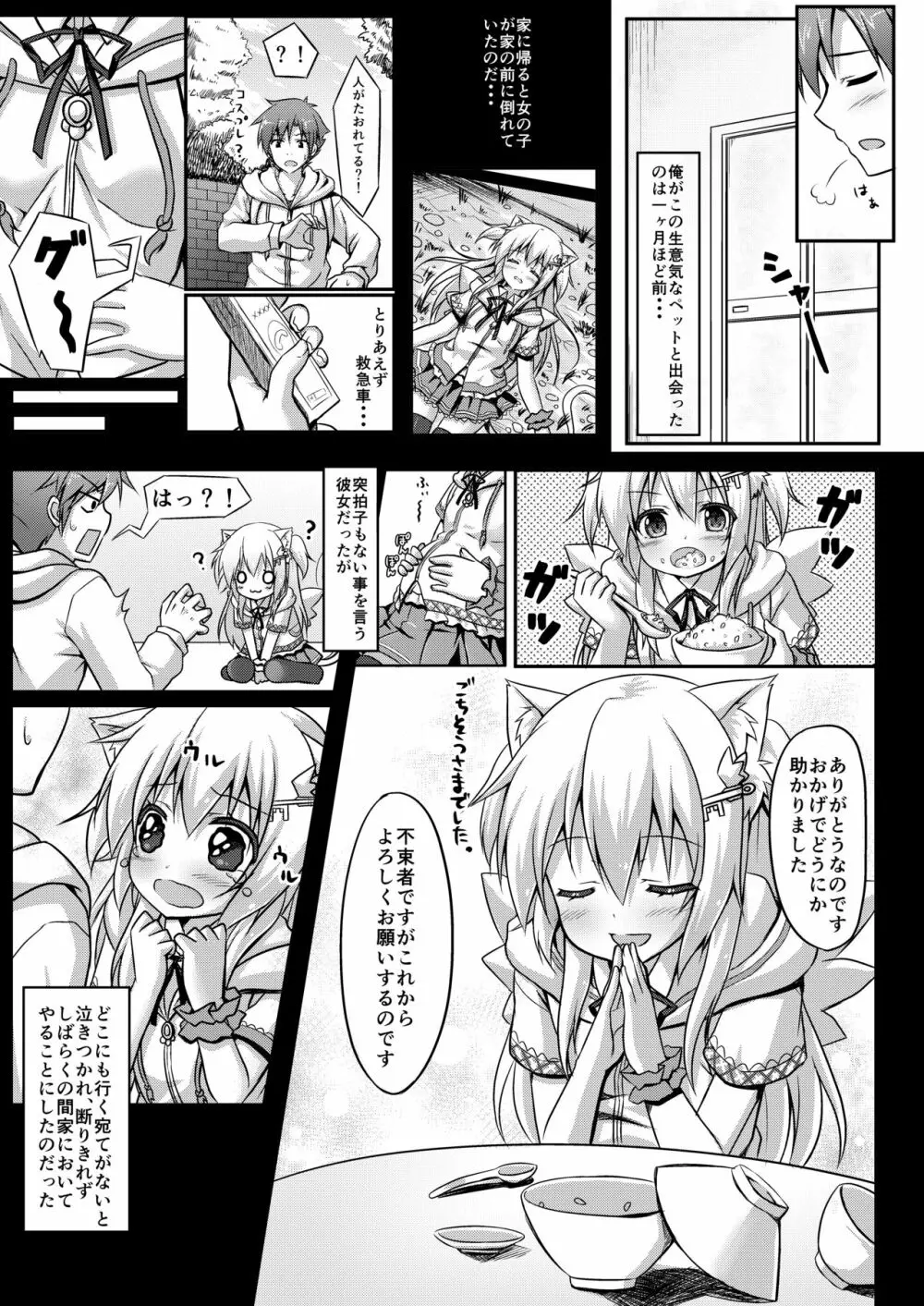 ウチのペット事情 Page.6