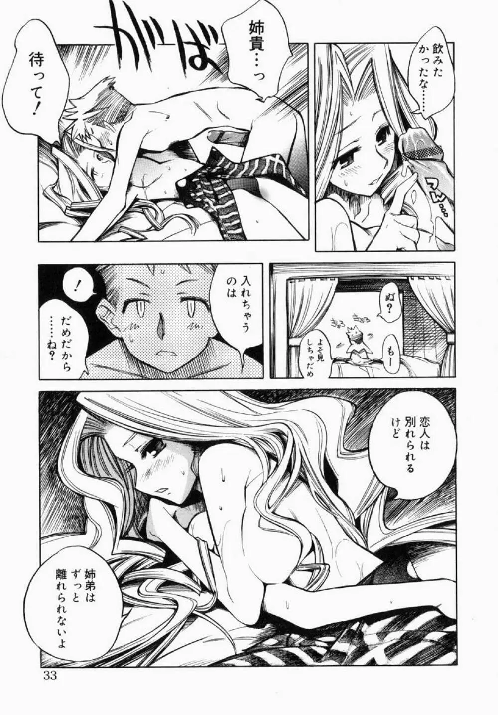 お姉さんでいこう! 1 Page.33