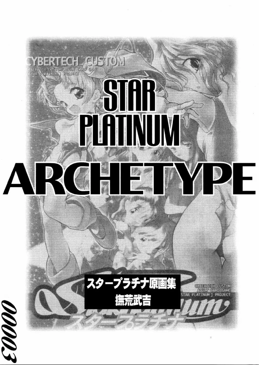 STAR PLATINUM ARCETYPE Page.3