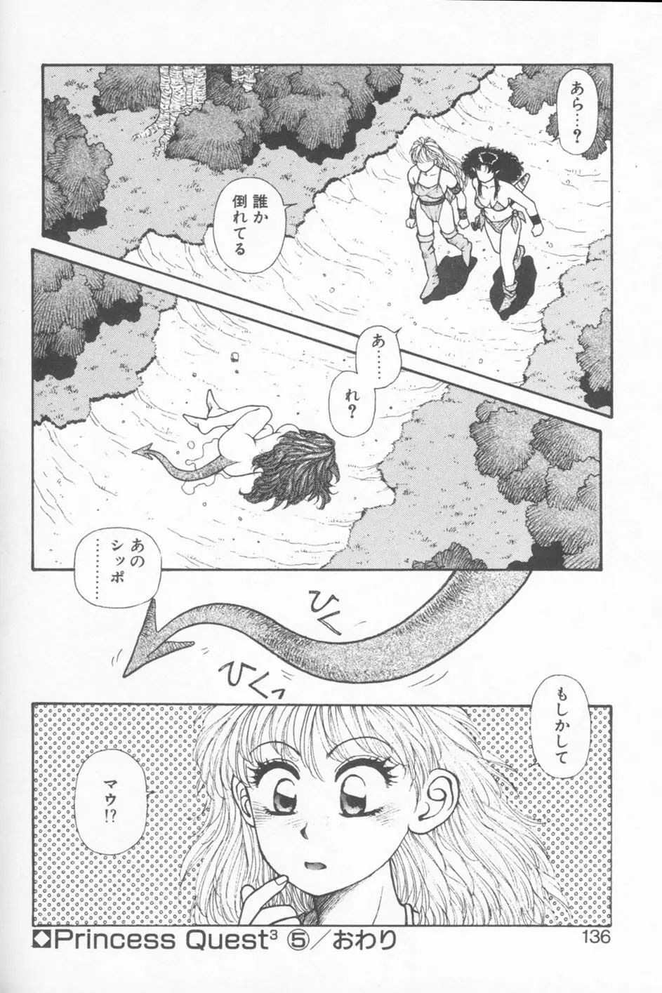 プリンセスクエストサーガ Page.136