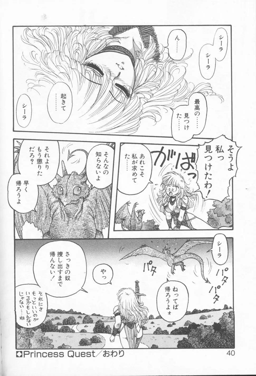 プリンセスクエストサーガ Page.40