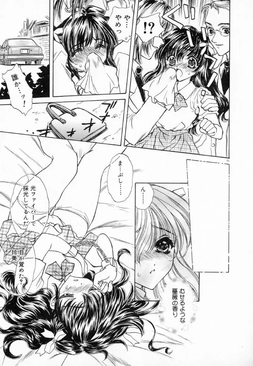 迷宮の薔薇 Page.61