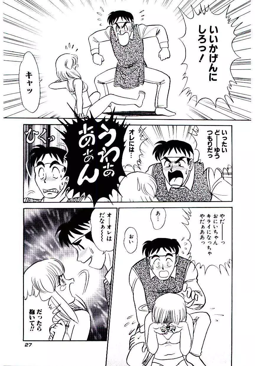 桃色物件（ピンクハウス） 第2巻 Page.30