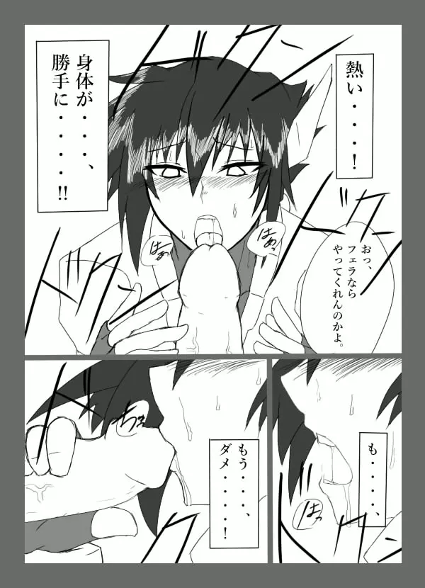 チキられエールさん 総集編1（ロックマンゼクス アドベント） Page.14