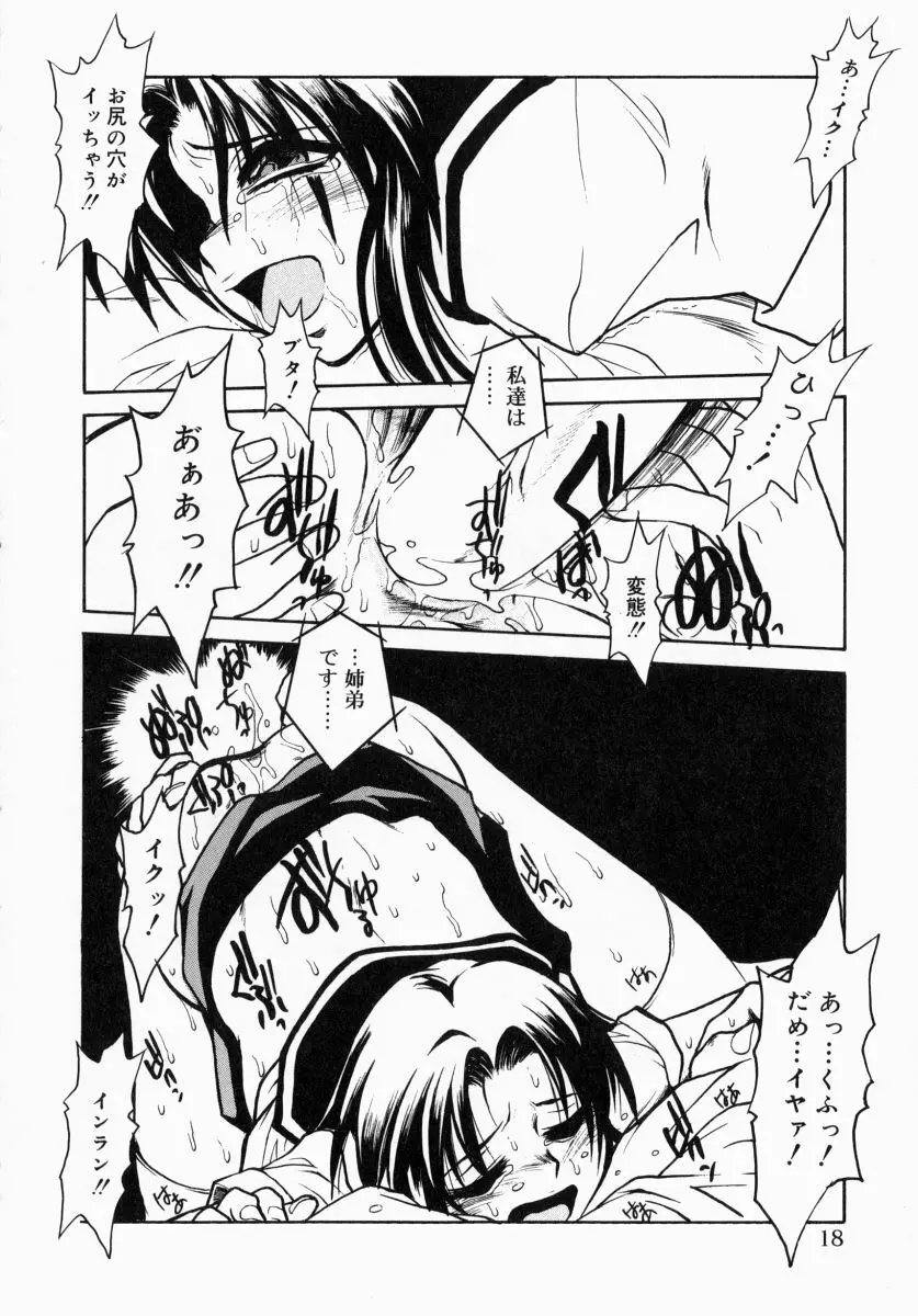 お姉さんでいこう! 1 Page.17