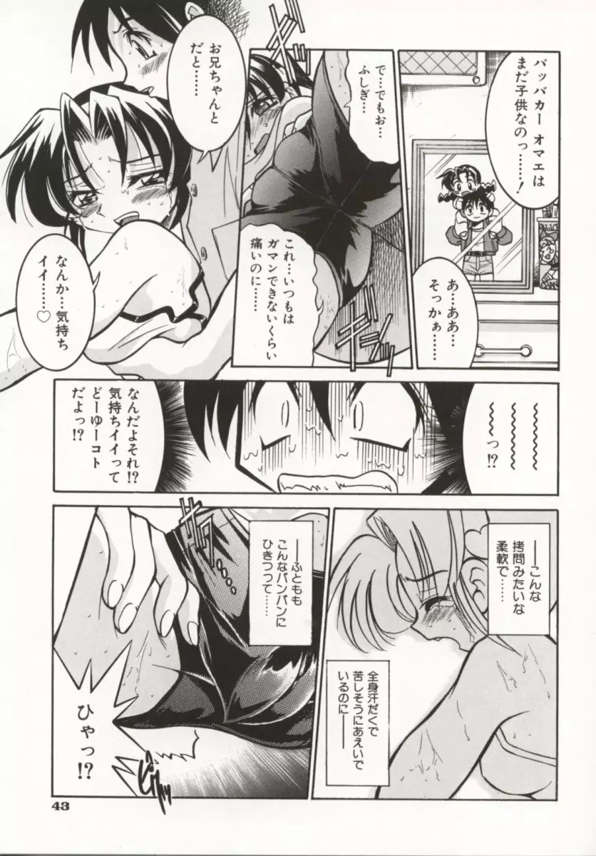 ポニー牧場 Page.48