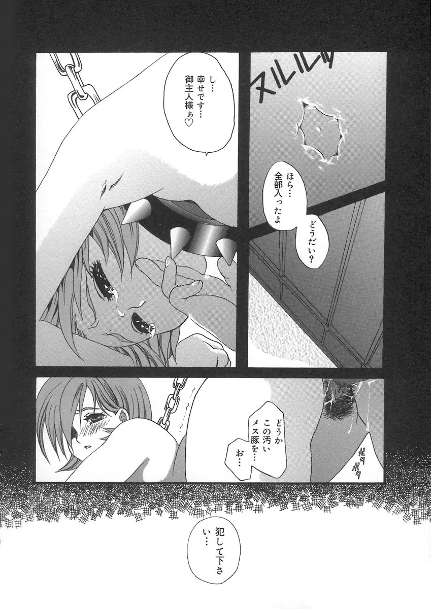 ハルジオン Page.36