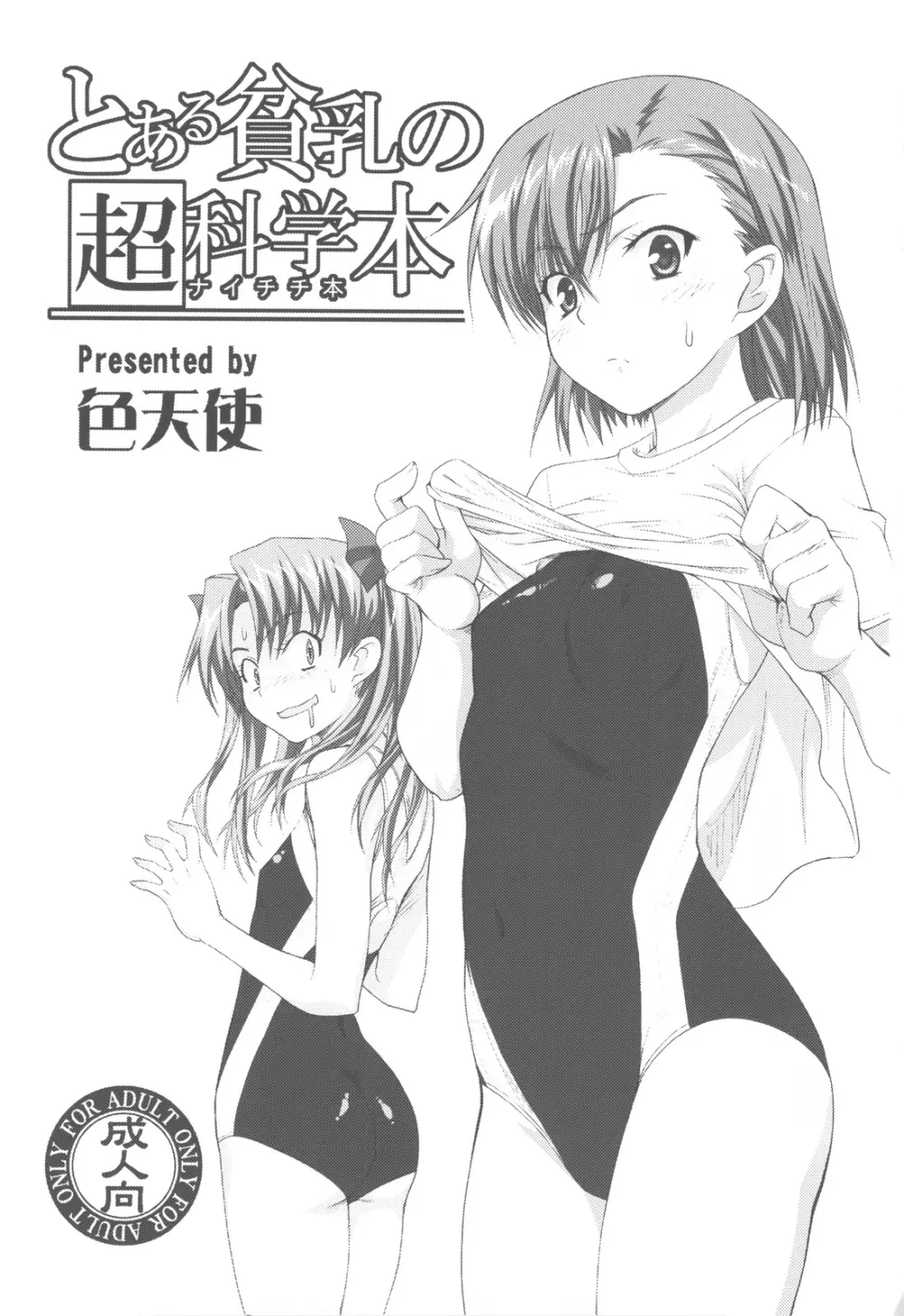 とある貧乳の超科学本 Page.3