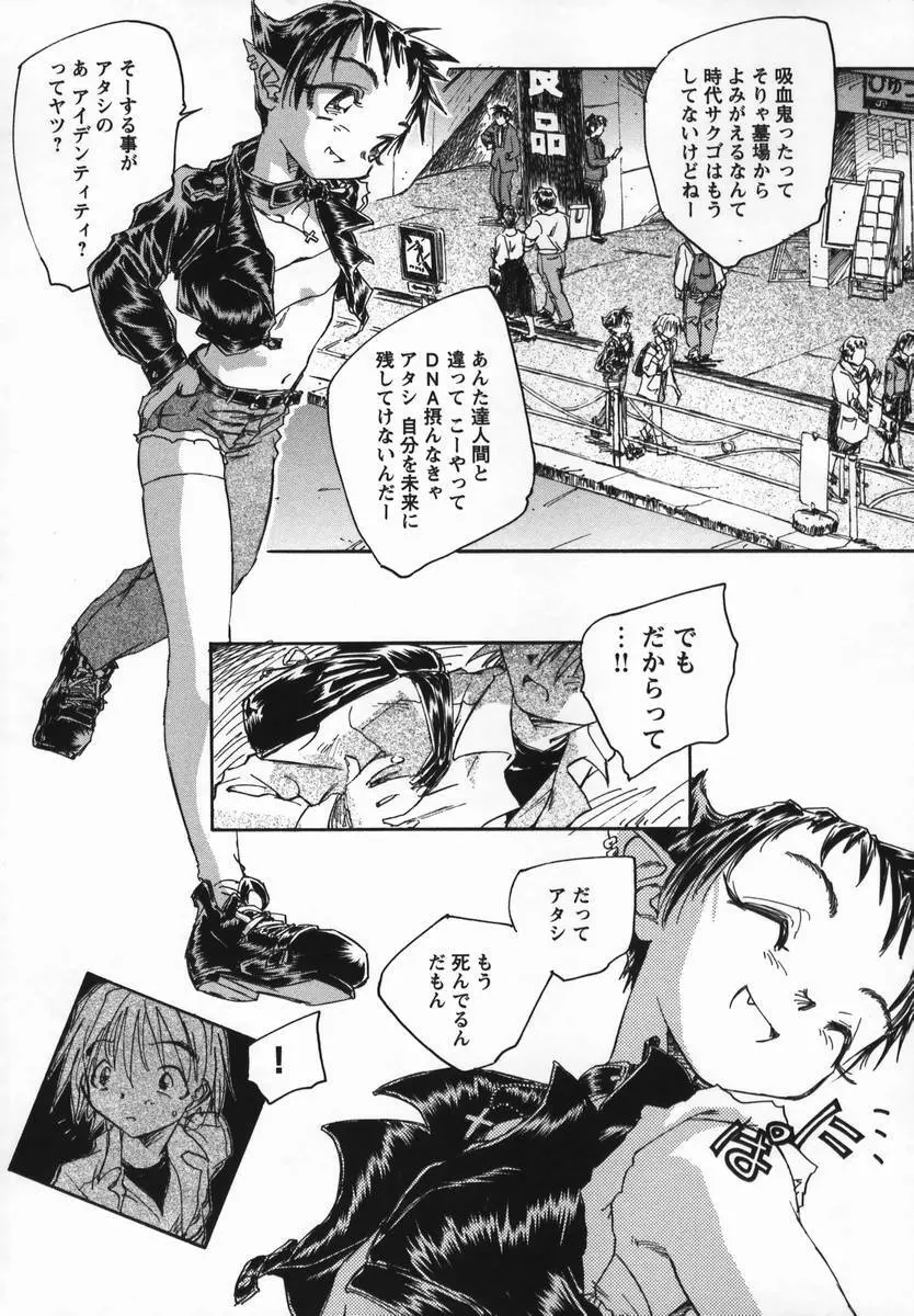 風の十二方位 Page.28