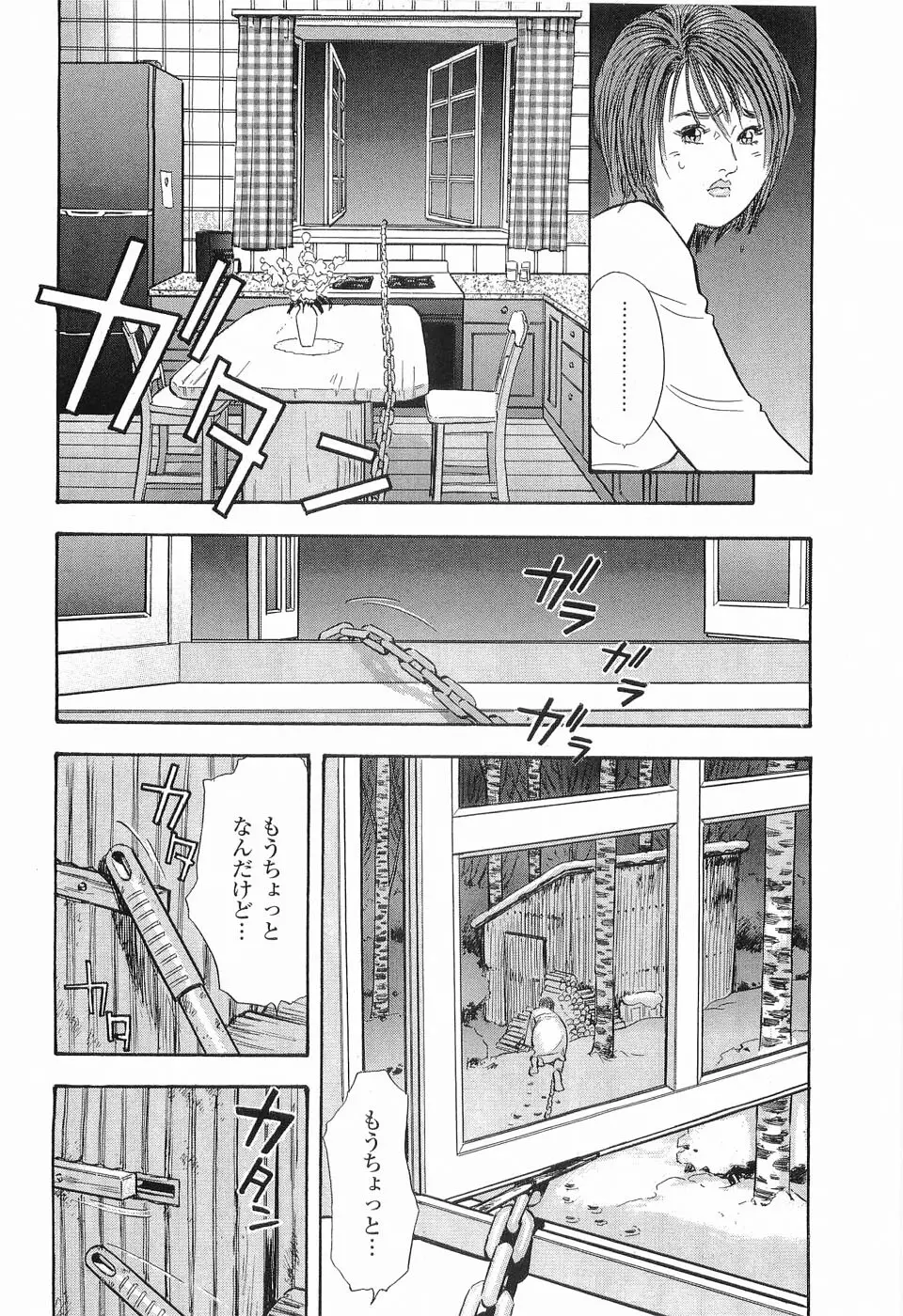 レイプ 第2巻 Page.17