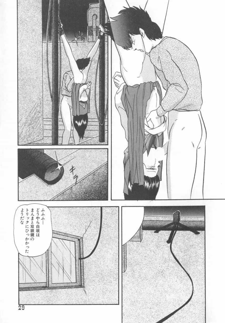 ハードブリーダー Page.29