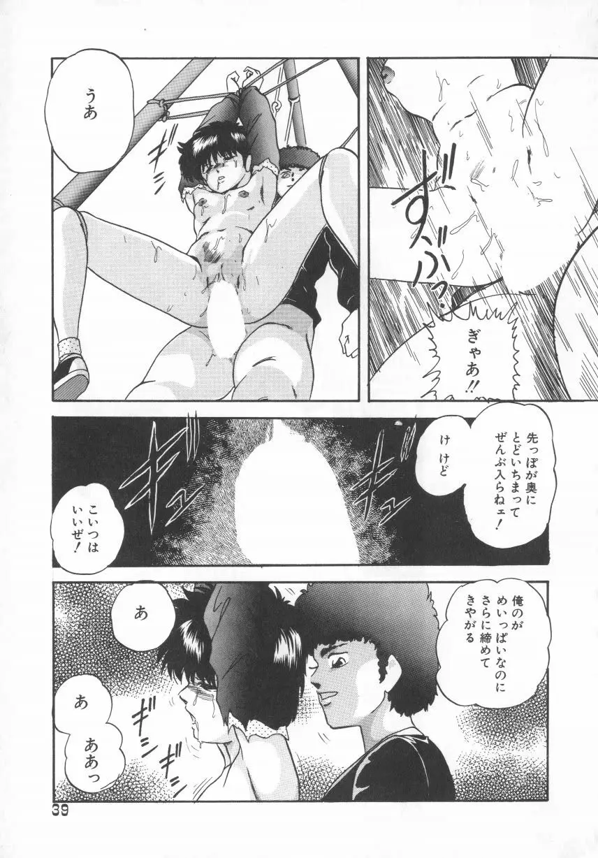 ハードブリーダー Page.39