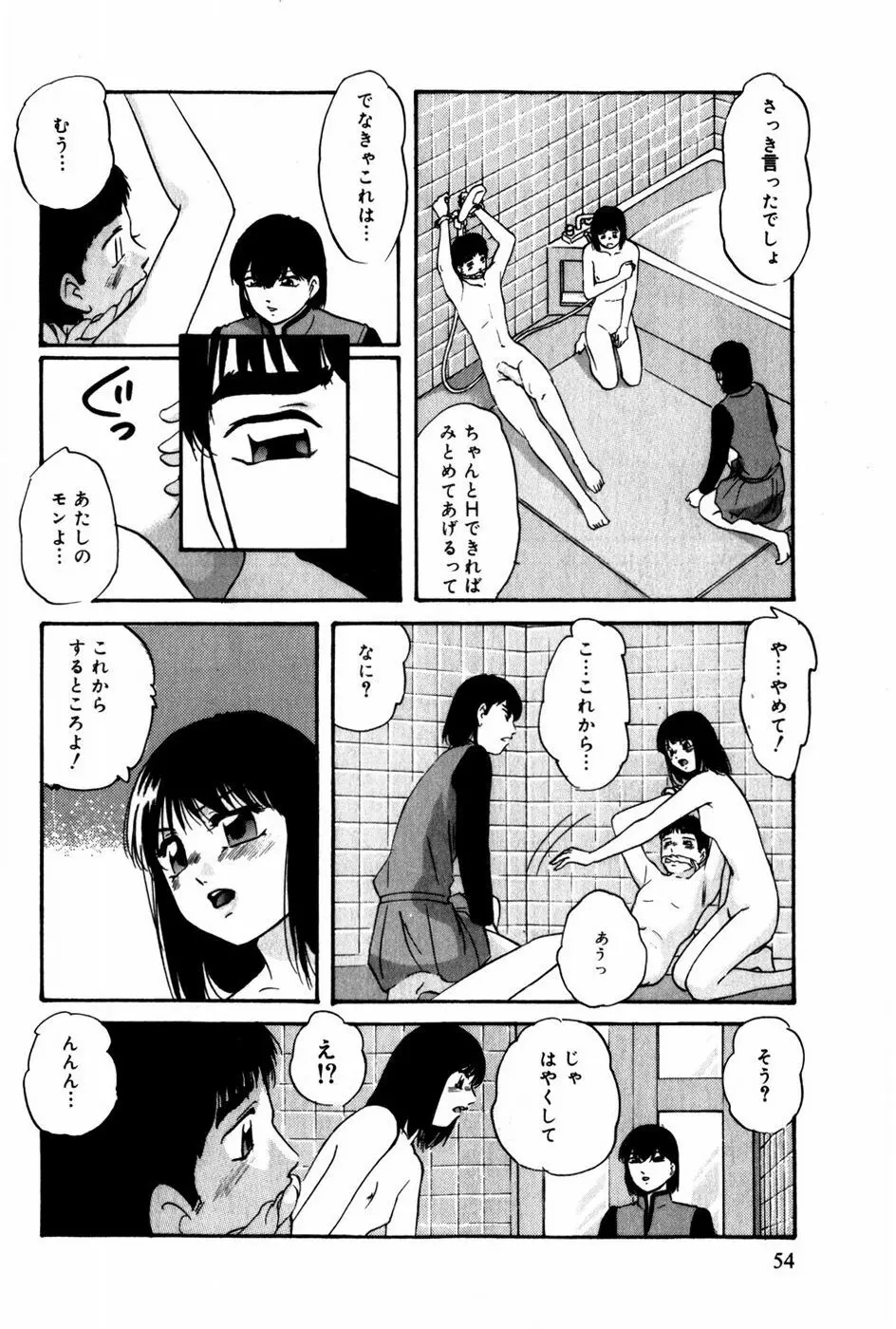 翔んじゃうこころ Page.55