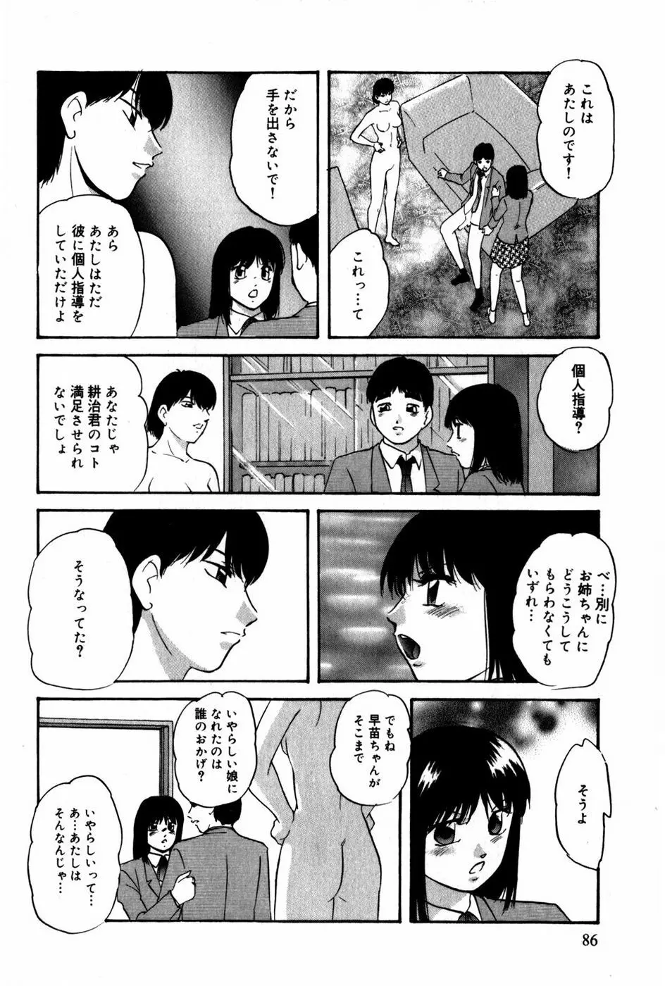 翔んじゃうこころ Page.87