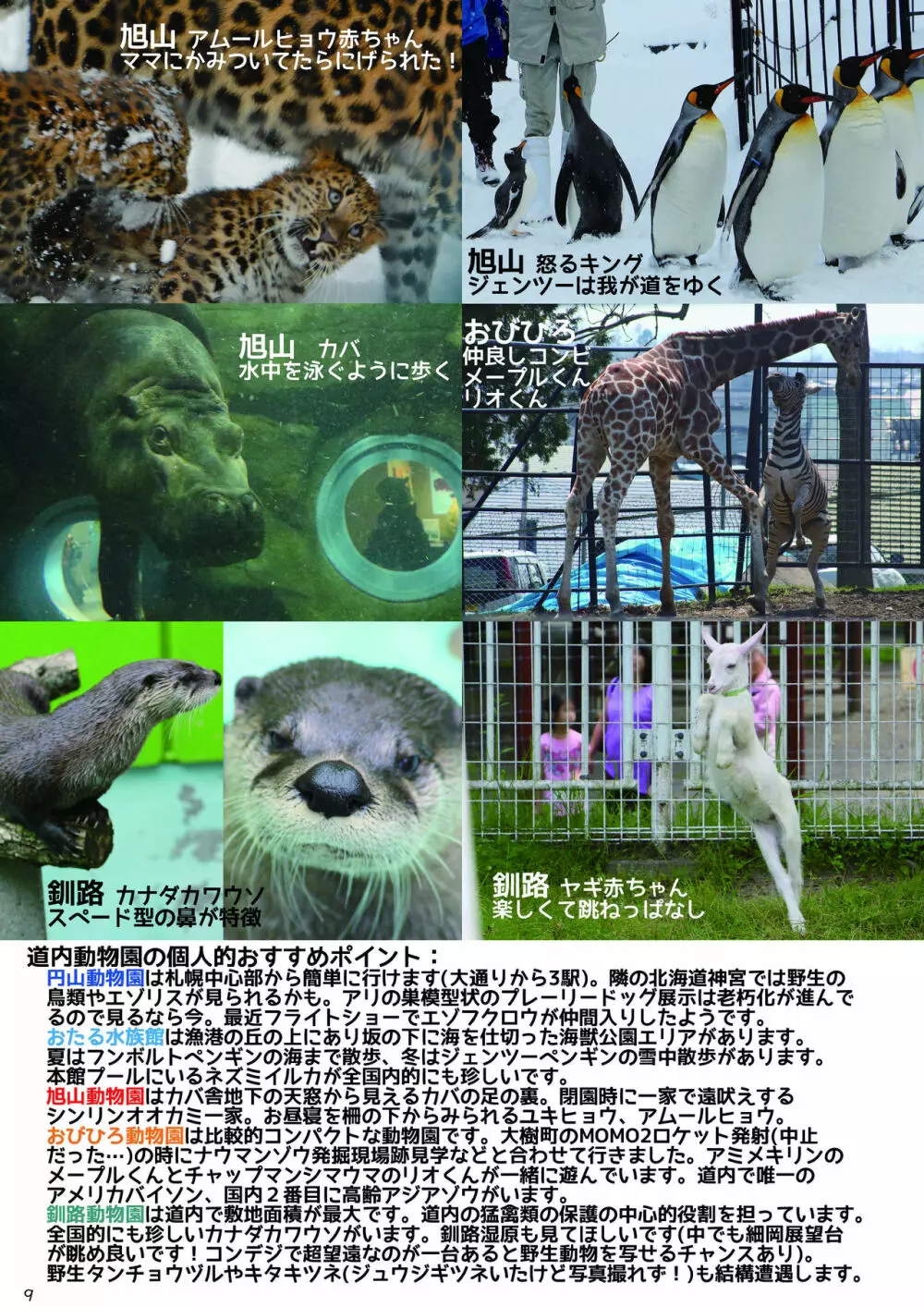 mayけものフレンズスレ合同誌2 Page.11