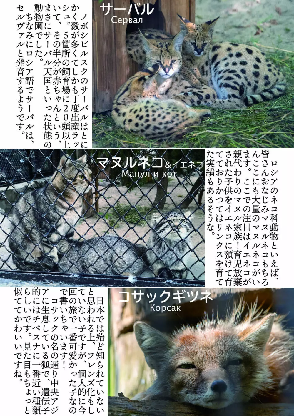 mayけものフレンズスレ合同誌2 Page.162