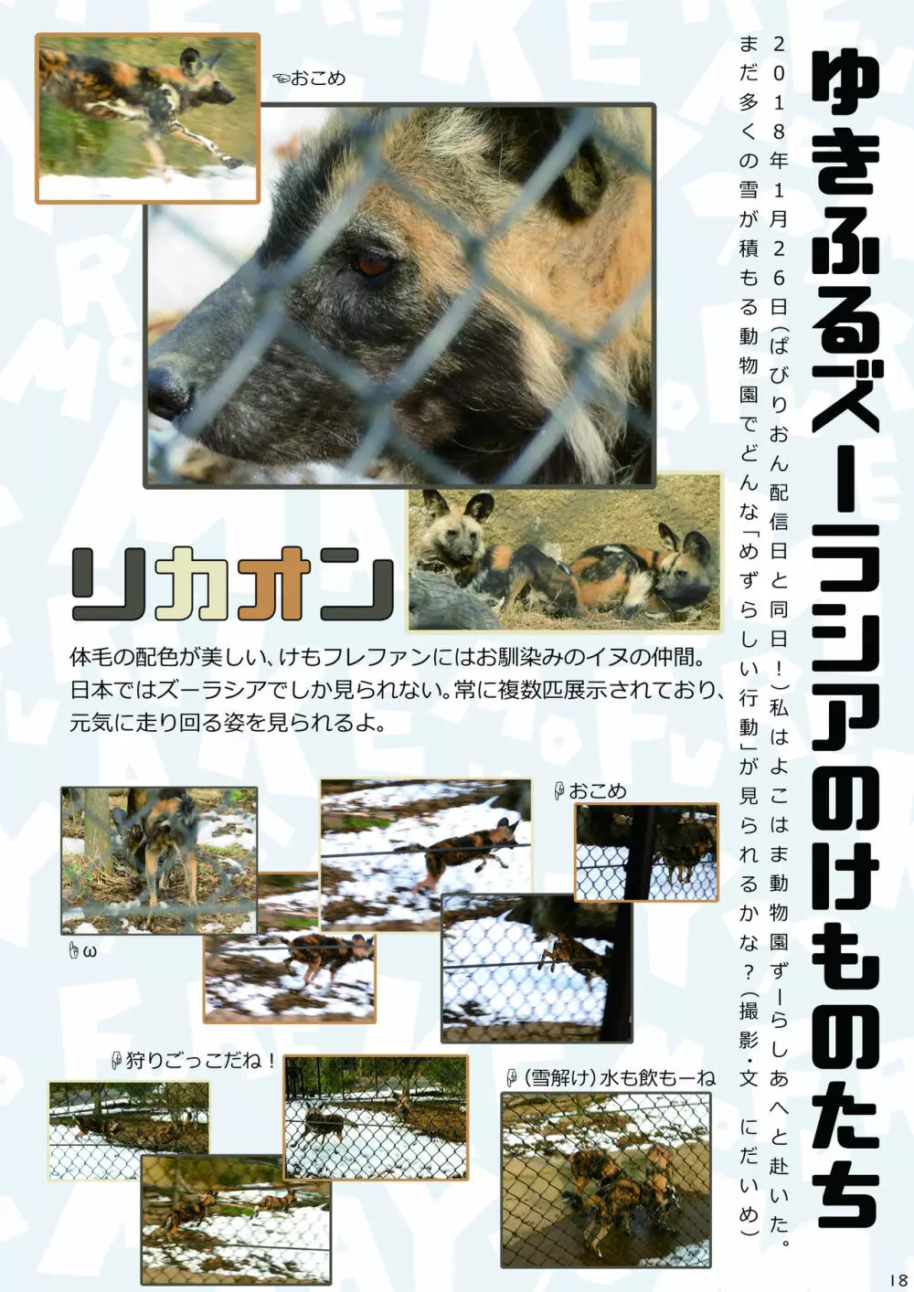 mayけものフレンズスレ合同誌2 Page.20