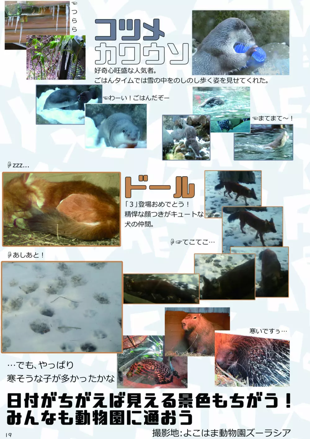 mayけものフレンズスレ合同誌2 Page.21