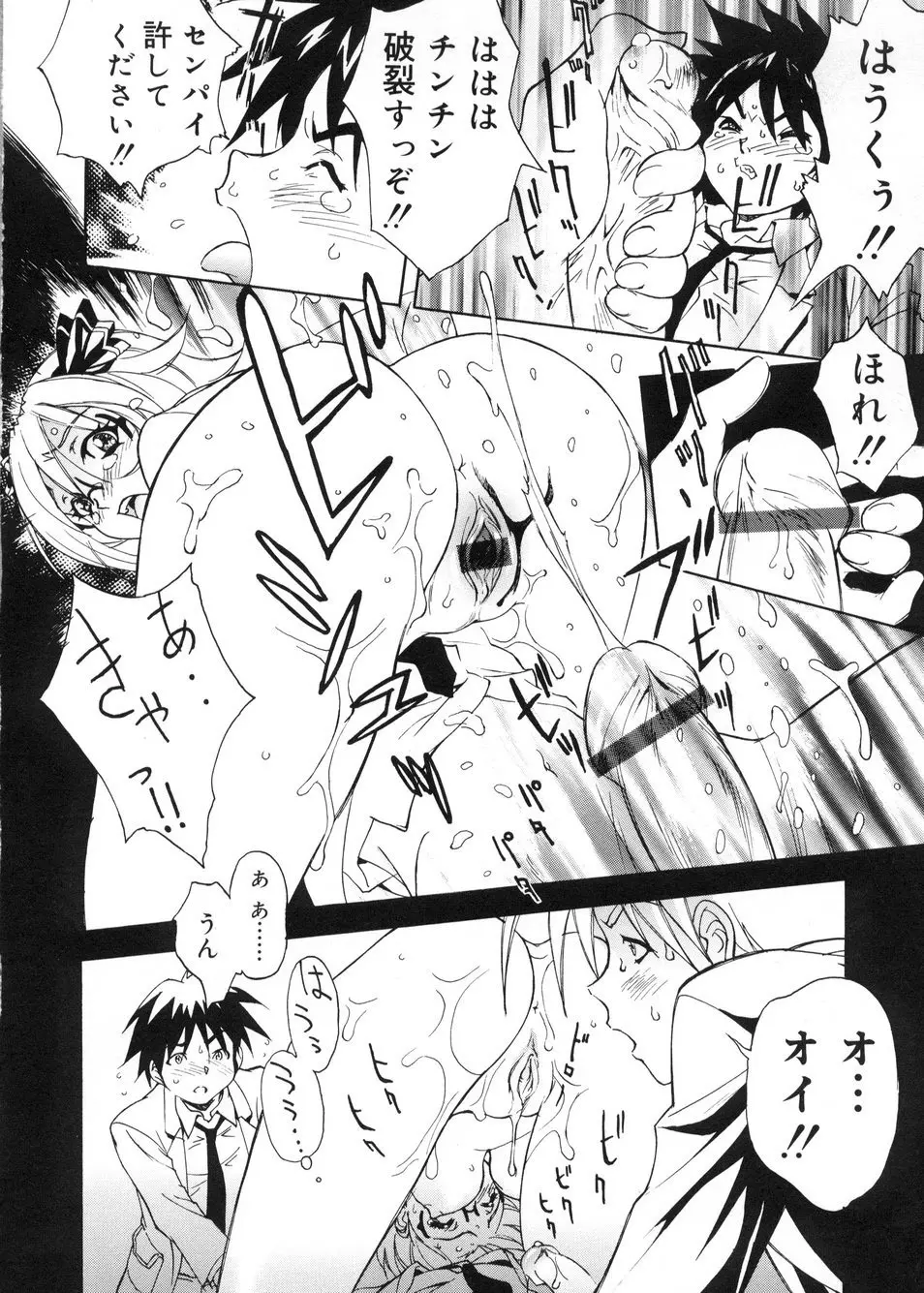 ビージーフォロー Page.29