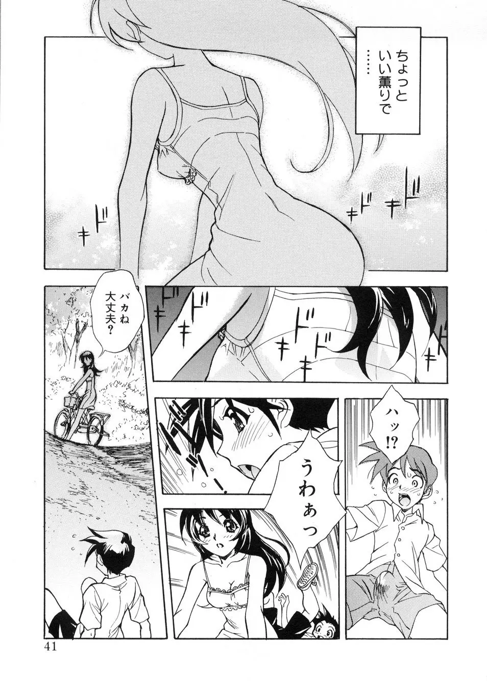 ビージーフォロー Page.38
