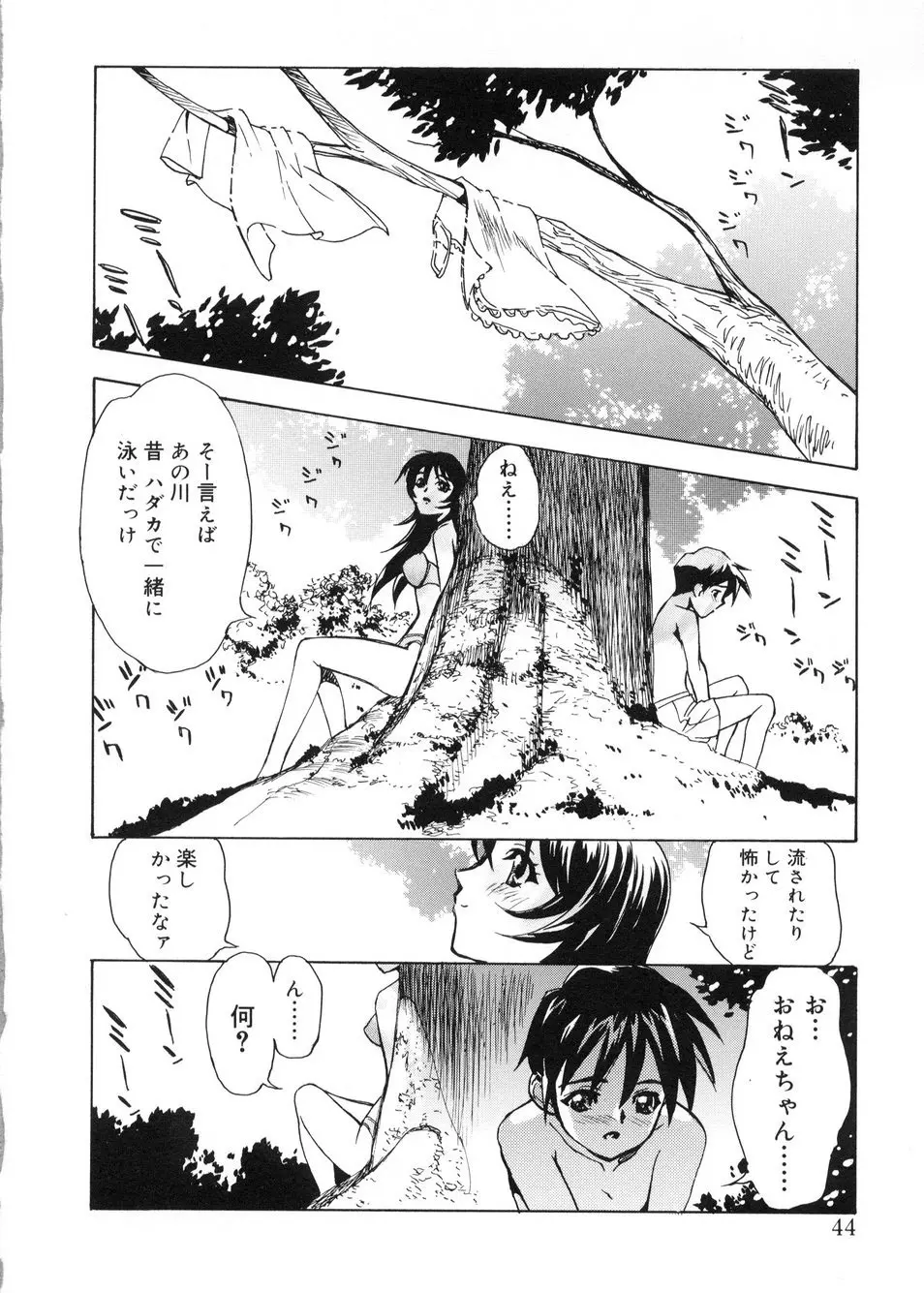 ビージーフォロー Page.41