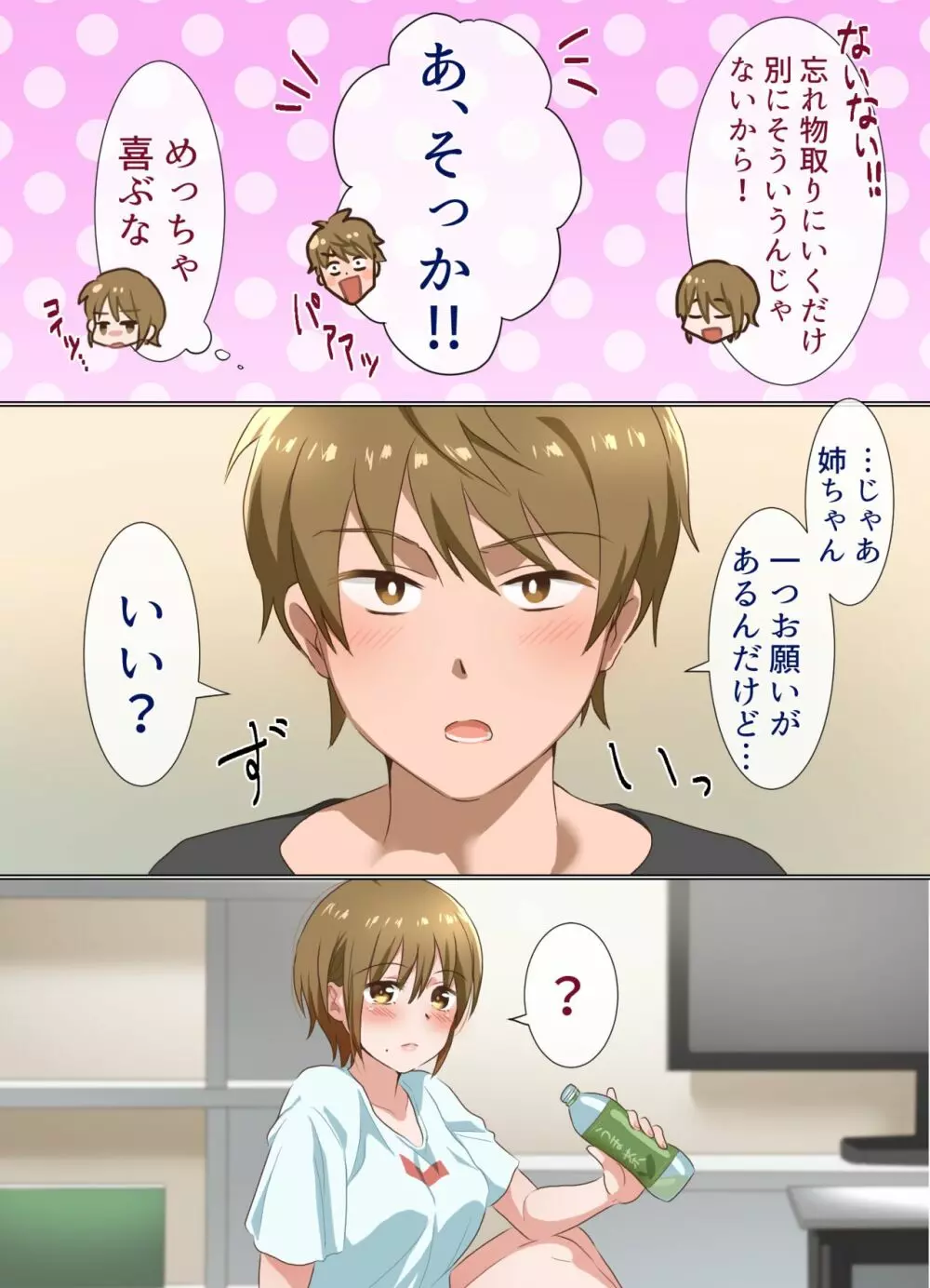 姉ちゃんとする話 Page.51