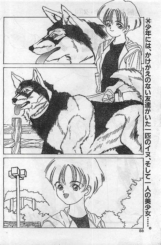 COMIC ピーチクラブ Vol.4 1996年01月号 Page.88