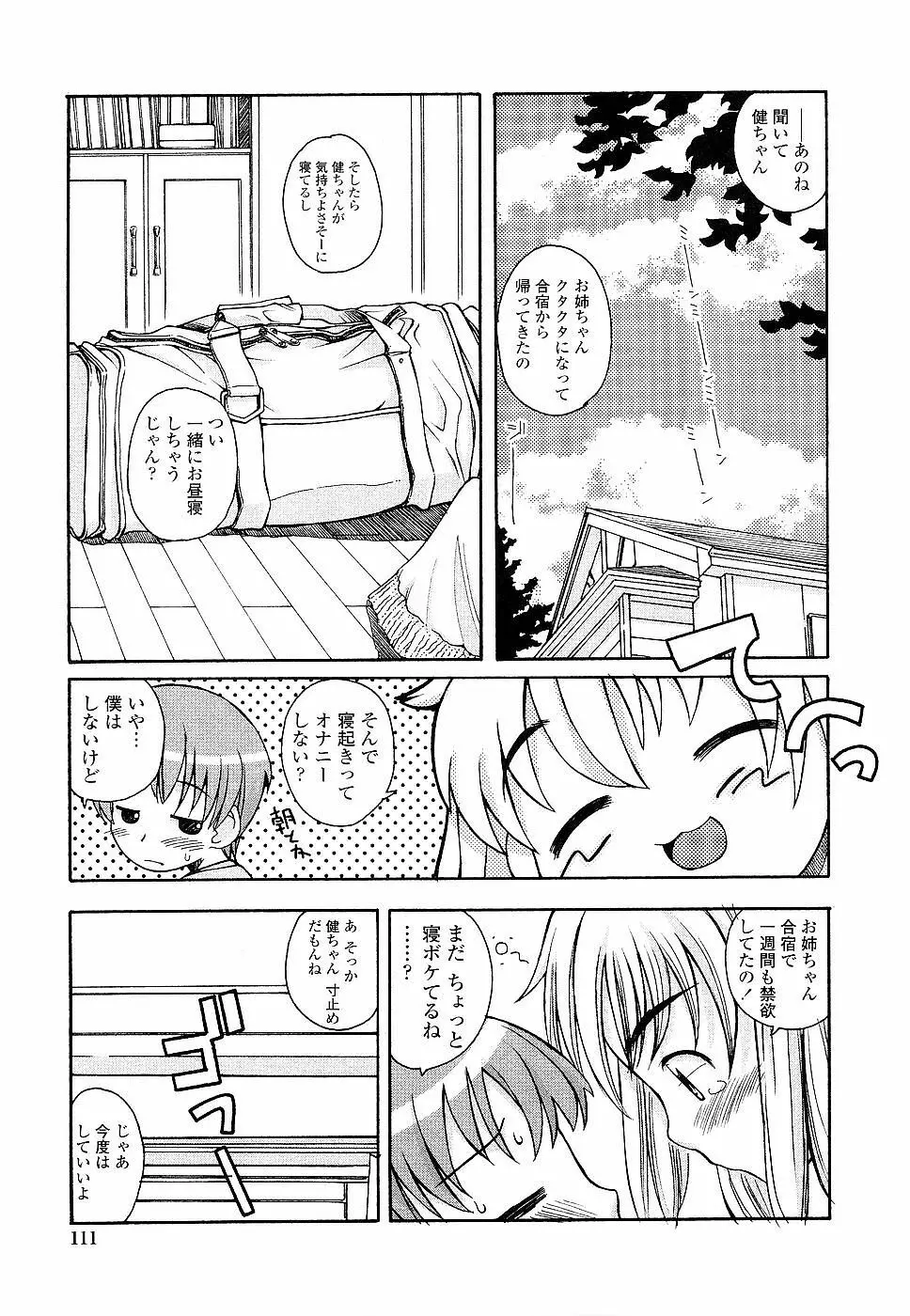 姉るせっくす Page.111