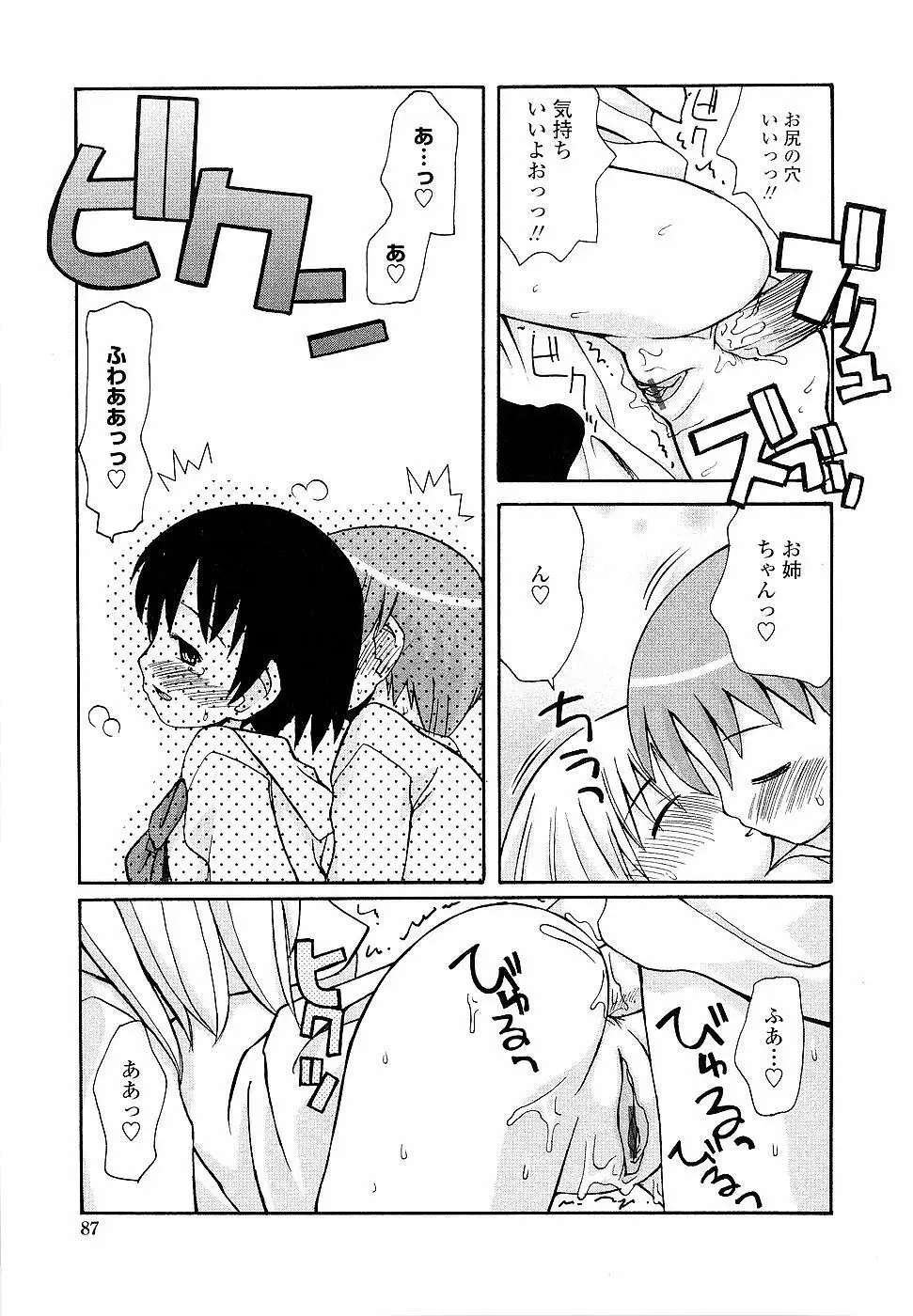 姉るせっくす Page.87