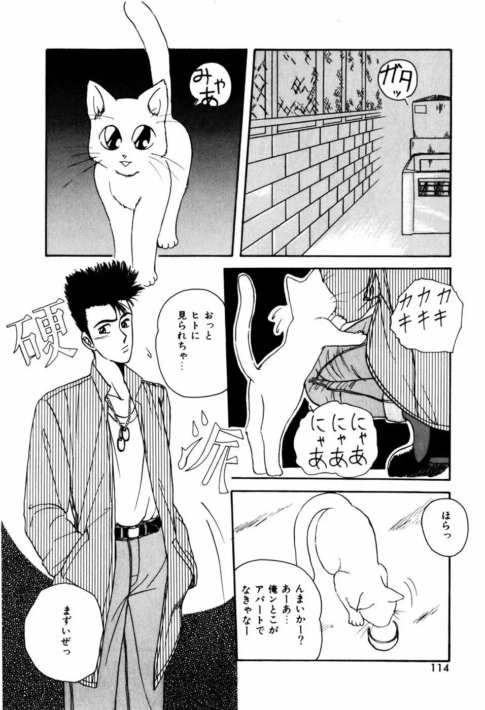 ラブメディスン Page.116