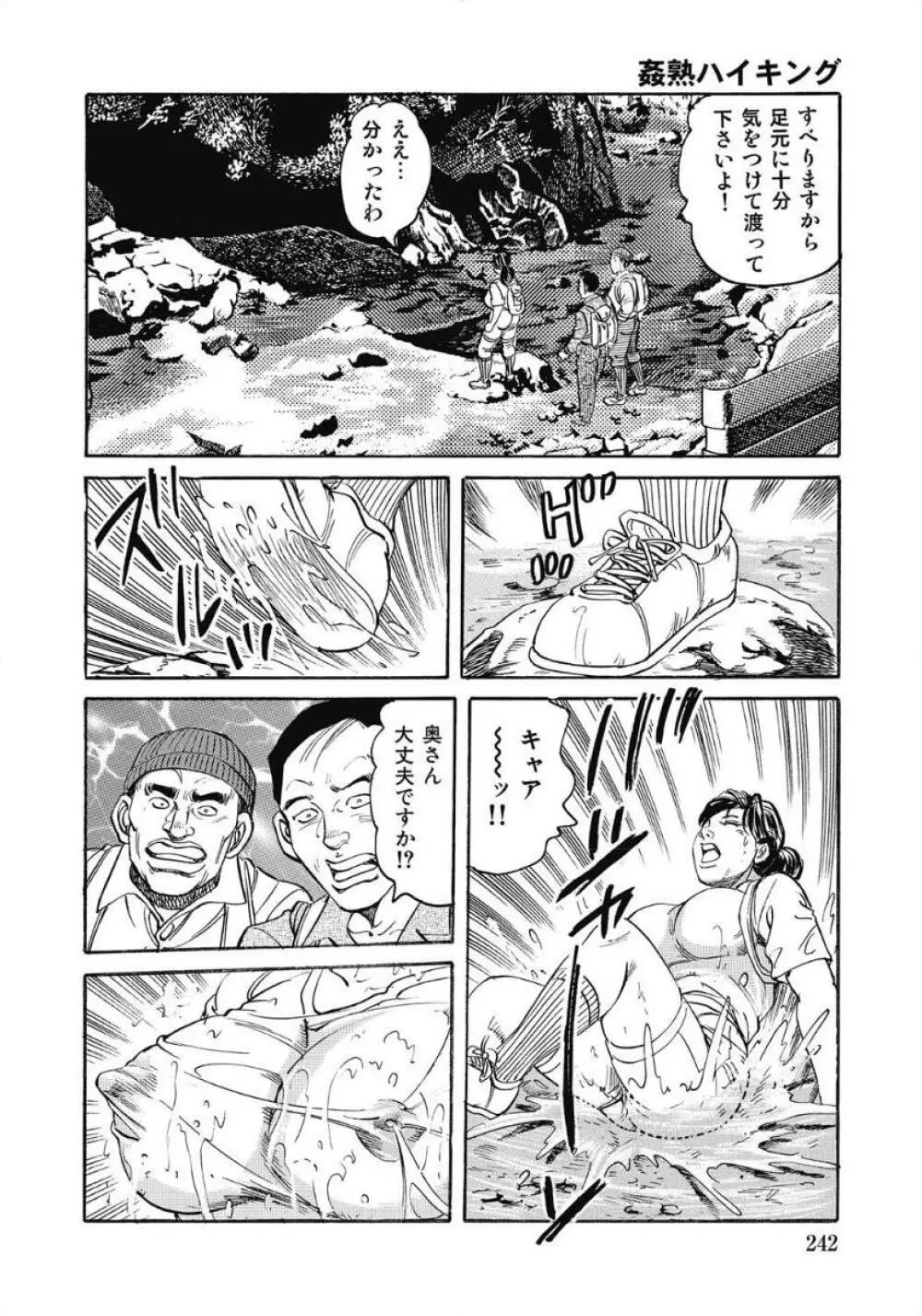 お色気人妻ヤリヤリ日記 Page.242