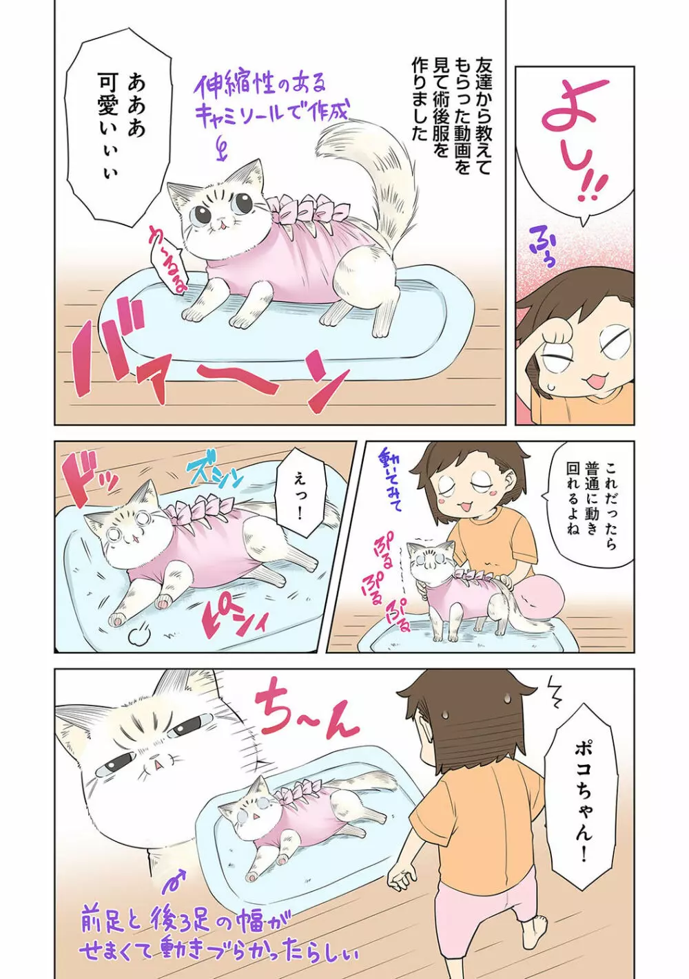 アナンガ・ランガ Vol. 75 Page.318