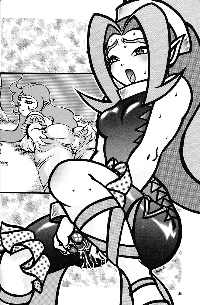 Nan・Demo-R 剣 Page.33