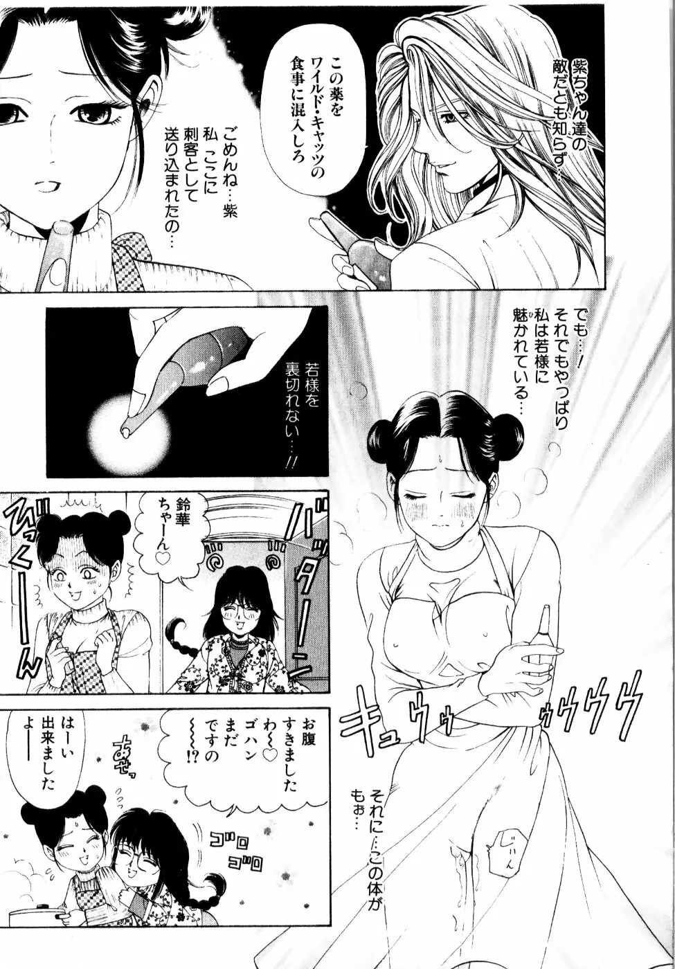 ワイルド☆キャッツ Page.126