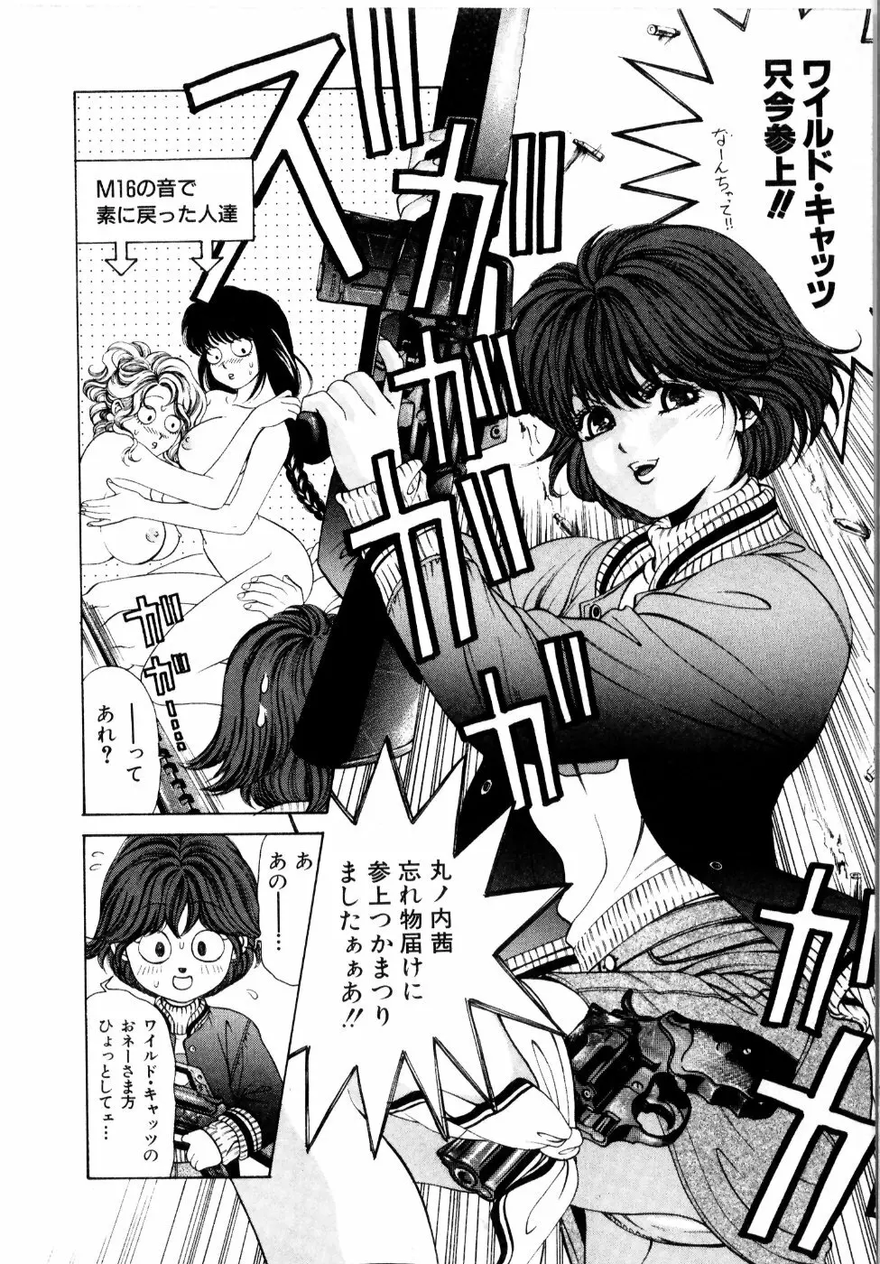 ワイルド☆キャッツ Page.27