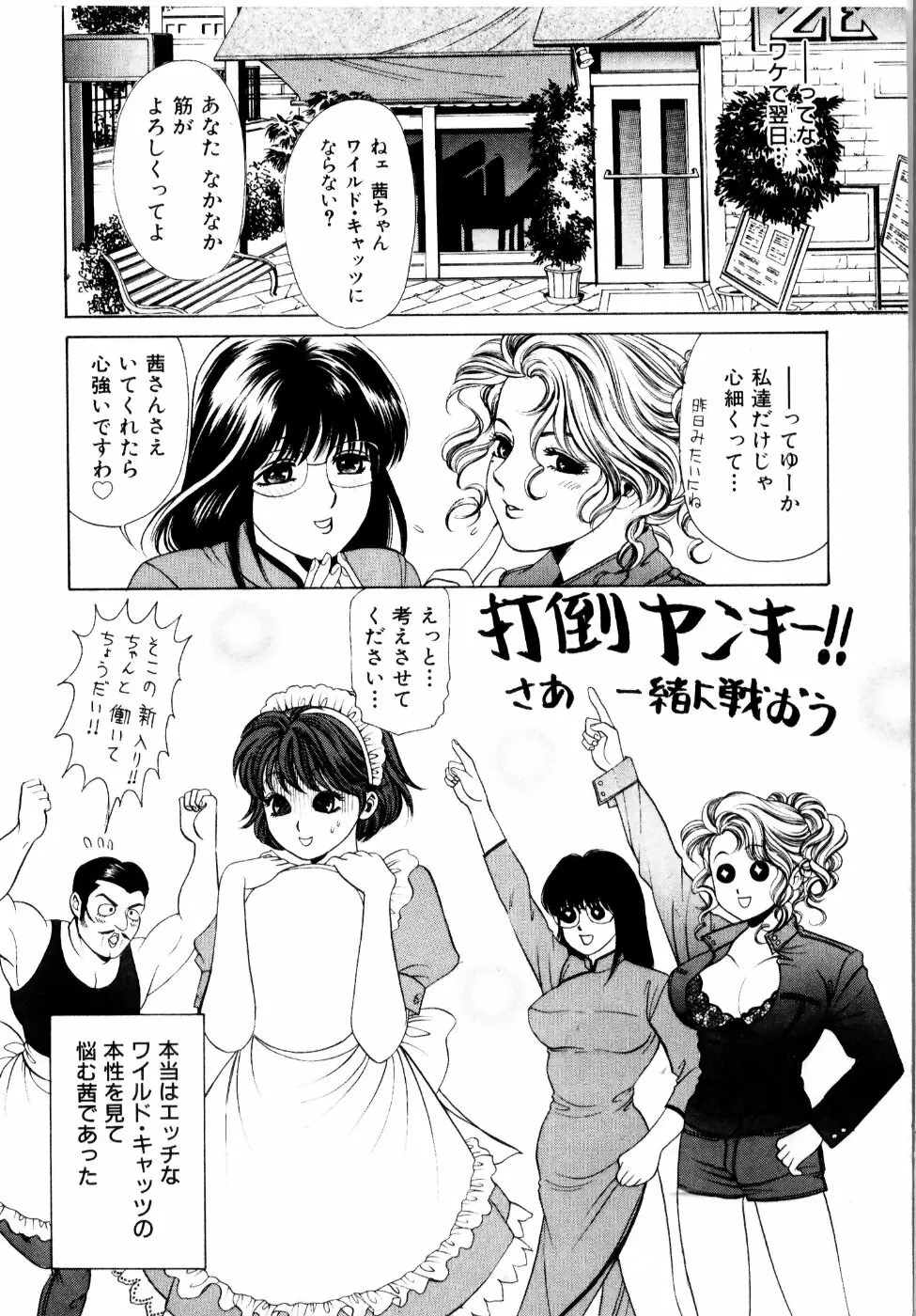 ワイルド☆キャッツ Page.29