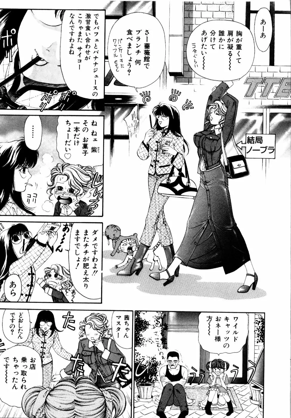 ワイルド☆キャッツ Page.38