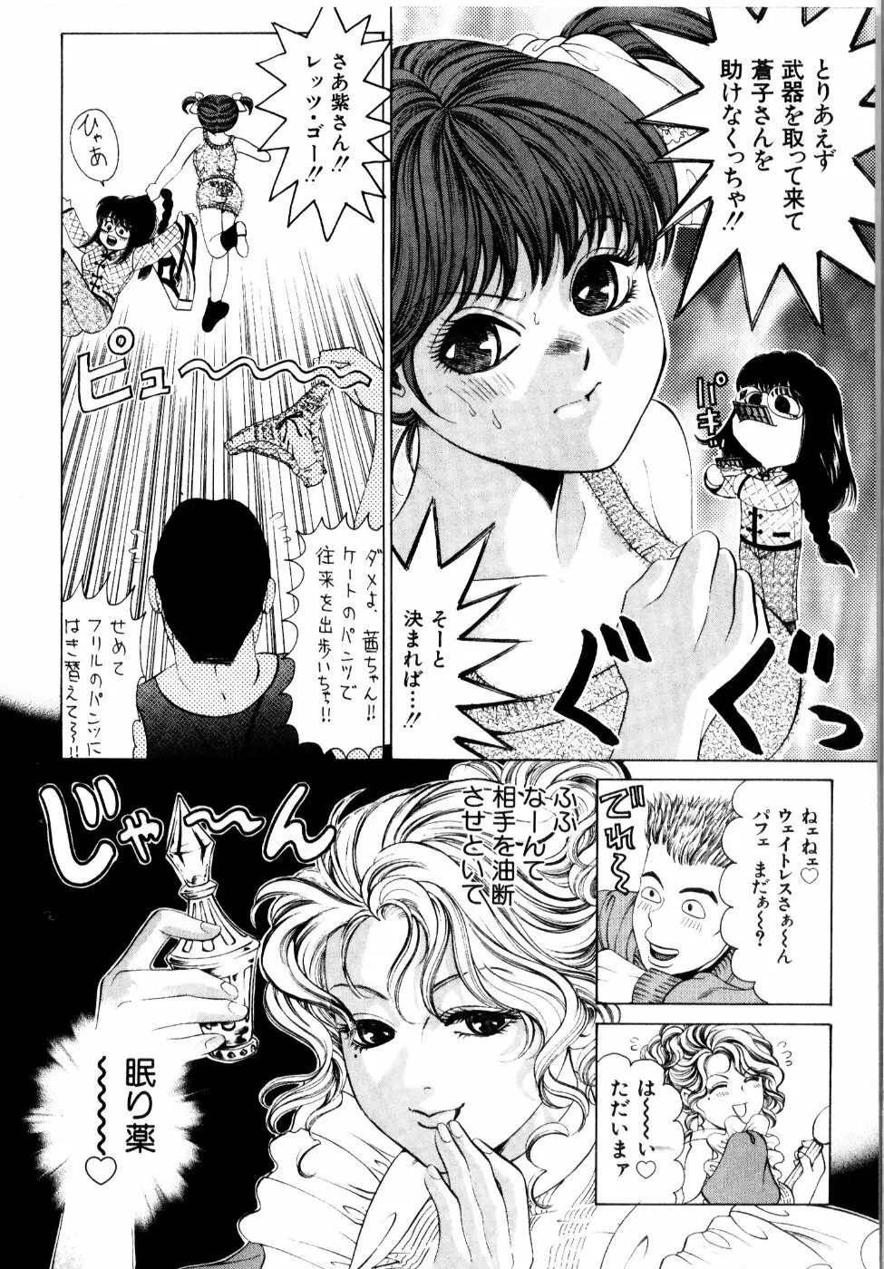 ワイルド☆キャッツ Page.43