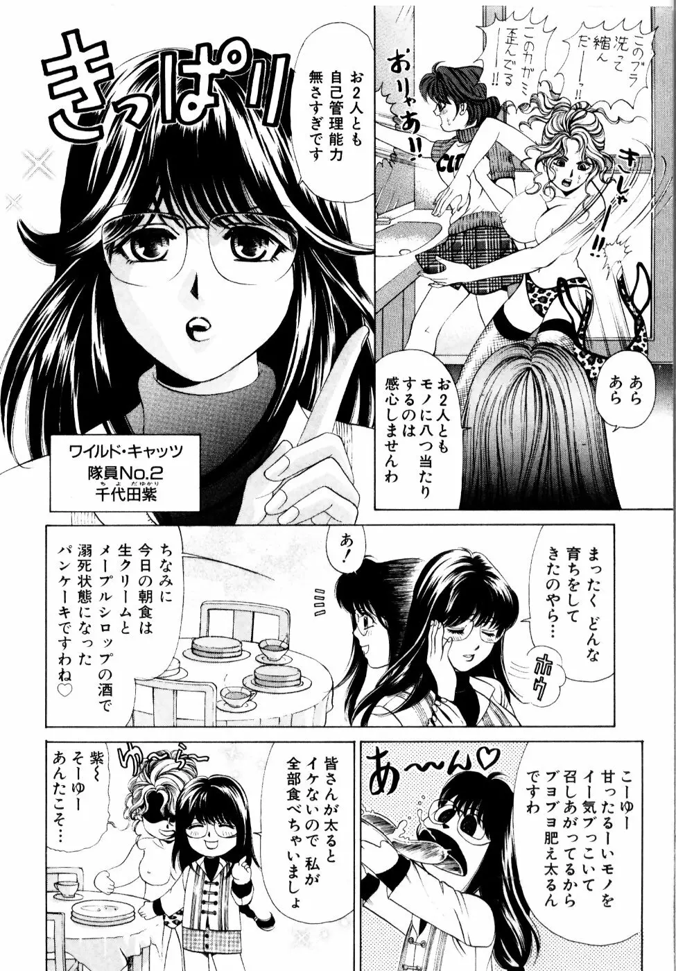 ワイルド☆キャッツ Page.53