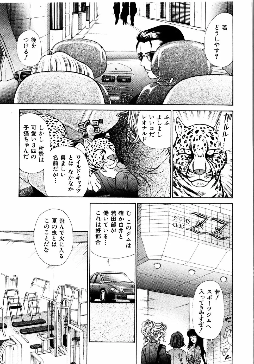 ワイルド☆キャッツ Page.56