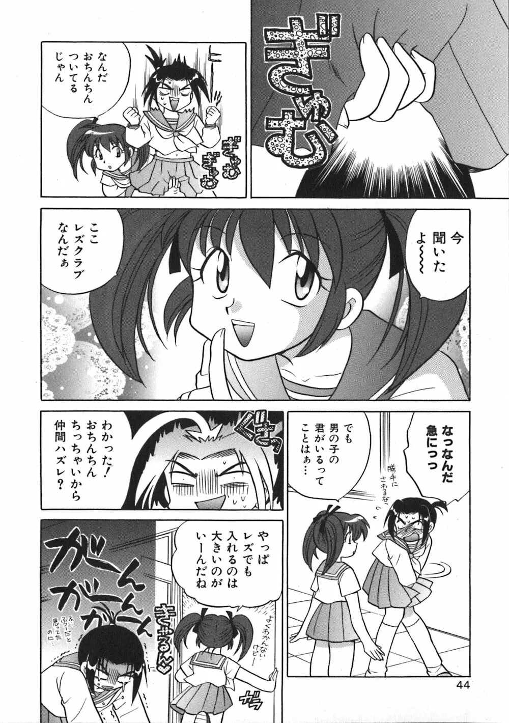 秘密のお花園 Page.46
