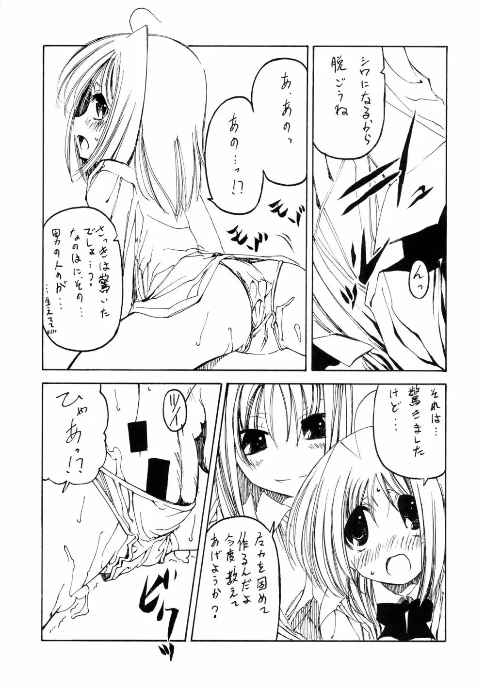 魔法少女リリカルなのはアダルトステージ 03 Page.12