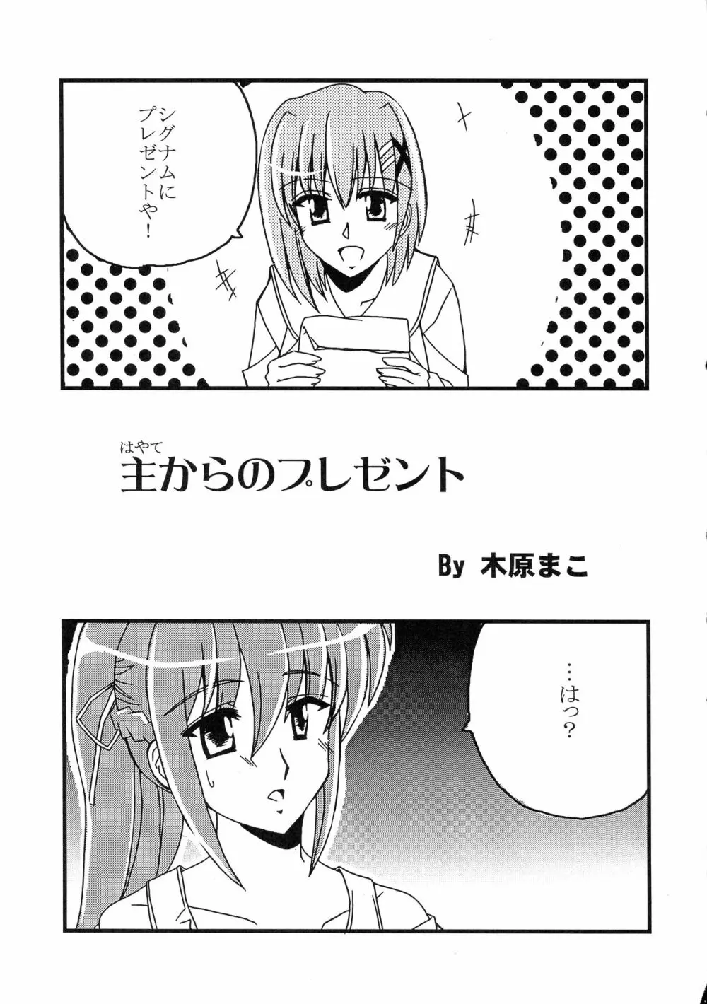 魔法少女リリカルなのはアダルトステージ 02 Page.17