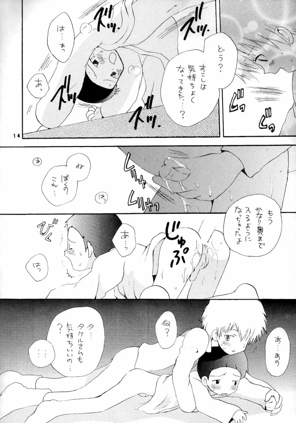 誠実な本 Page.13