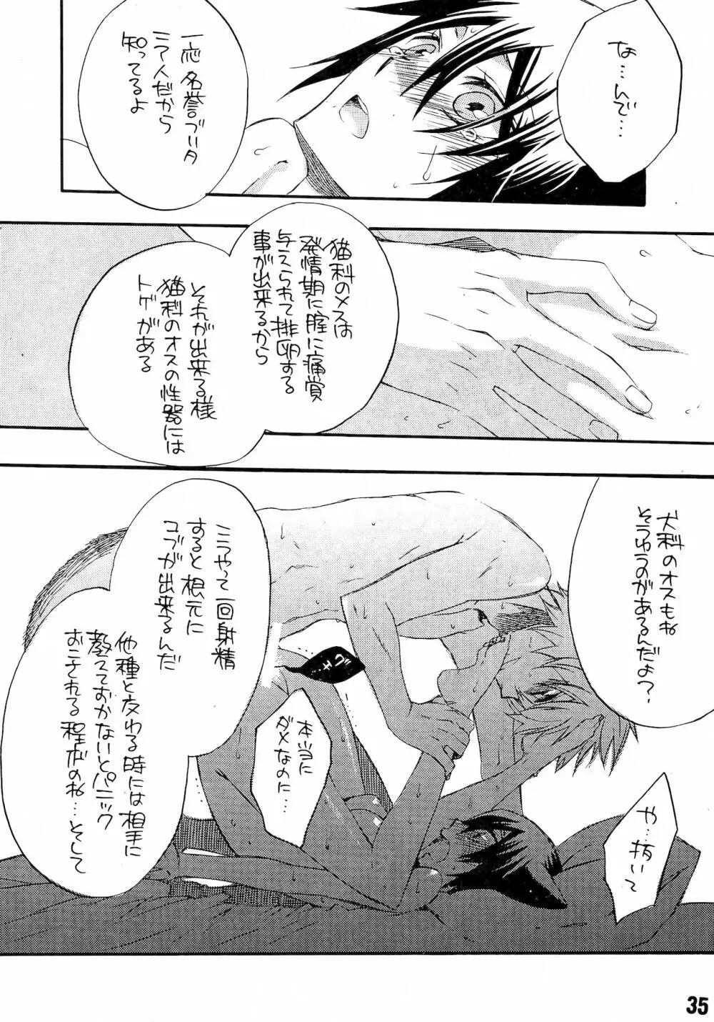 るる孕みっくす! 下巻 Page.33