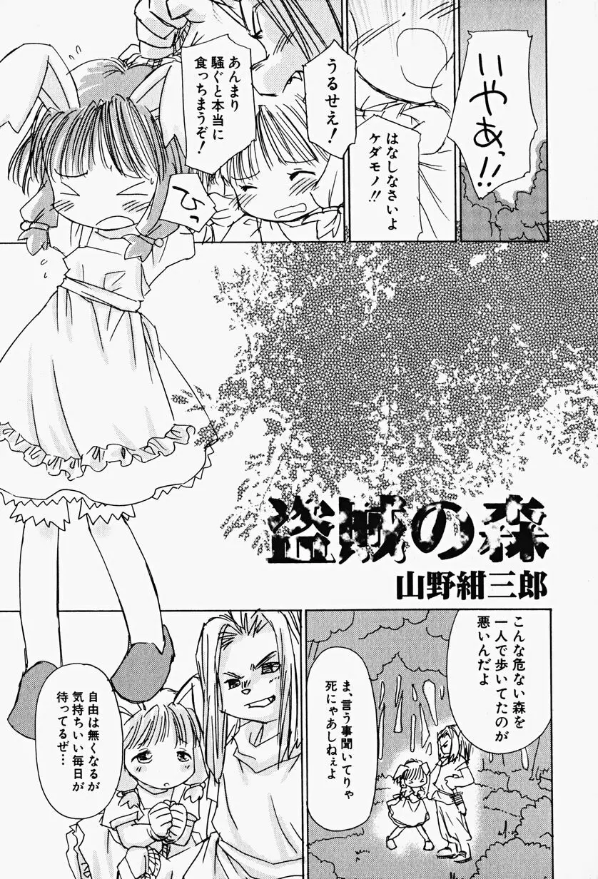 Hin-nyu v17 - Hin-nyu Gahou Page.43