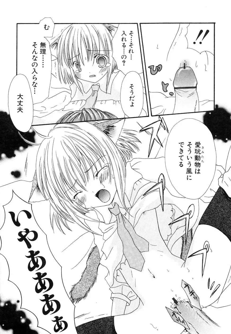 大貧乳調査団 Page.165