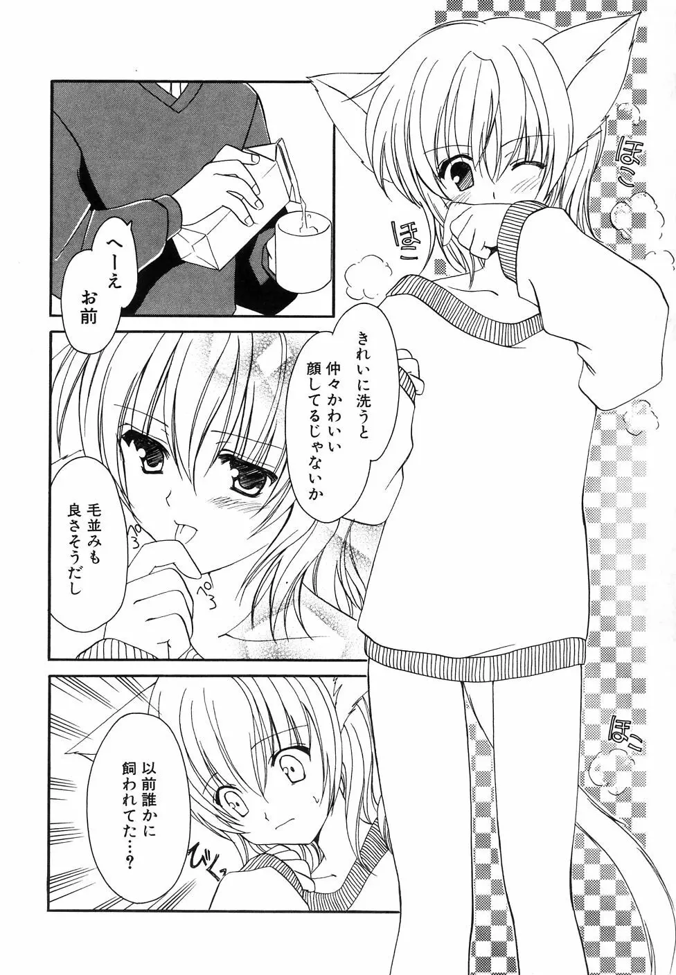 大貧乳調査団 Page.78