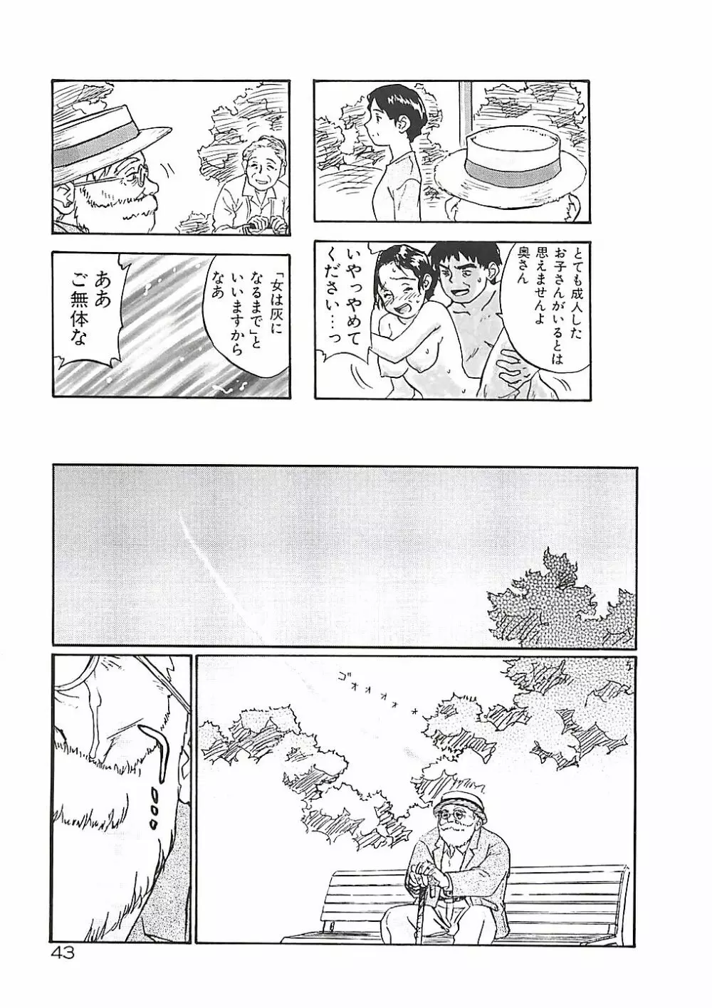 ひまわり Page.43